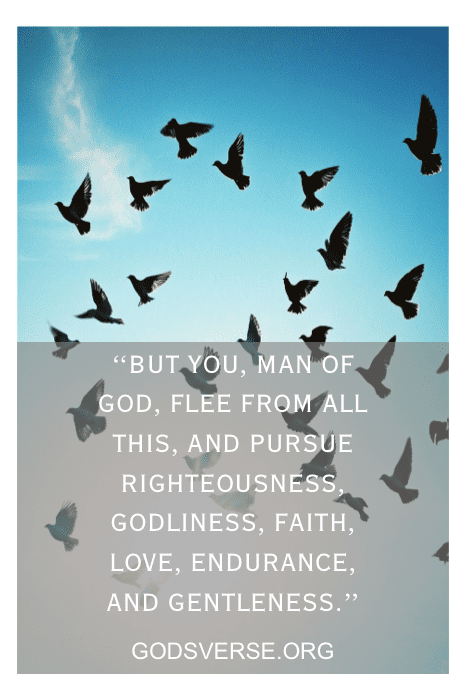 birds in flight at dawn - man of god rising and renewed in faith and purpose