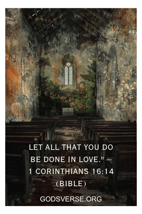 Interior de uma igreja velha e coberta de mato com um versículo bíblico (1 Coríntios 16:14) e citações inspiradoras para a igreja.