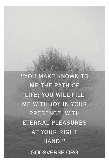 Uma árvore em um campo enevoado com um versículo bíblico sobreposto: "You make known to me the path of life..." (Você me revela o caminho da vida...) do site godsverse.org, parte de sua inspiradora coleção de versículos bíblicos para deixar ir.