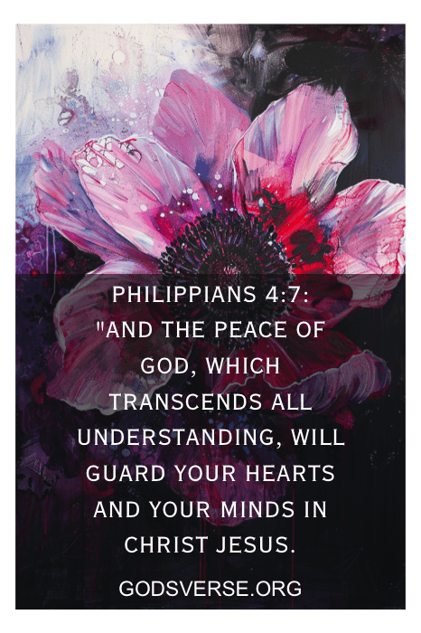 Grande flor rosa com texto de Filipenses 4:7 sobre a paz de Deus, proporcionando conforto, frequentemente encontrado em Bible Verses for the Dying Elderly (Versículos bíblicos para idosos que estão morrendo), e o site godsverse.org na parte inferior.