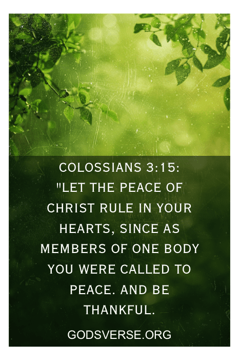 Versículo bíblico Colossenses 3:15 em um fundo de folhas verdes: "Que a paz de Cristo reine em seus corações..." com versículos bíblicos para a inveja de Godsverse.org.