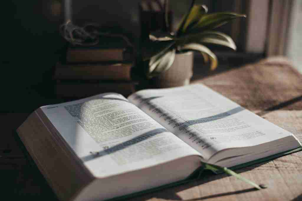 Bible laying open on table next to a plant
