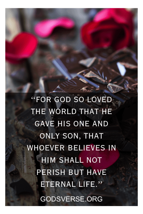 Um versículo bíblico do Dia dos Namorados sobre o amor de Deus e a vida eterna em um fundo de chocolate amargo e pétalas de rosas vermelhas.