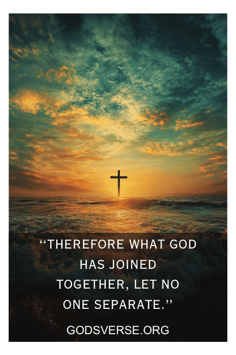 Bible verse about God defending the vulnerable in marriage