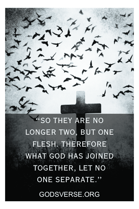Troubled marriage verse about rekindling love