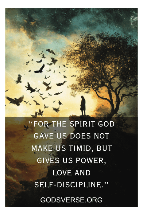 Silhouette by a tree with birds in a sunset sky; text: "For the spirit God gave us does not make us timid..." A gentle reminder from Bible Verses for Feeling Defeated, offering strength and courage amidst adversity.