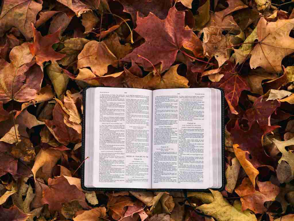 An open book, echoing thanksgiving lessons for children's church, lies on a bed of colorful autumn leaves.