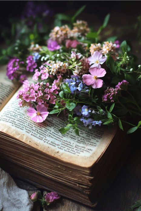 An open book with colorful flowers, including pink and purple blooms, elegantly arranged on its pages, reminiscent of the timeless beauty of flowers in the Bible.