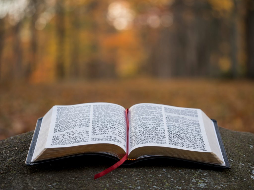 An open book with a red ribbon bookmark on a stone surface, surrounded by a blurred autumn forest background.