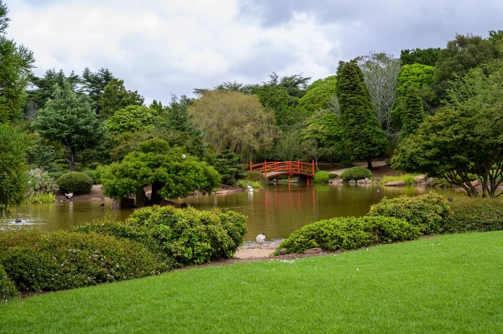 In this lush garden, featuring a serene pond and a red arched bridge, the variety of trees mirrors the symbolism of nature, reminiscent of the number 4 in the Bible as a symbol of earthly completeness, under a cloudy sky.