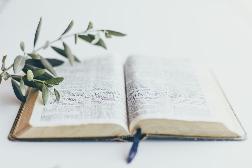 Biblia abierta con marcapáginas, acompañada de una rama de olivo sobre fondo blanco. Estudio bíblico sobre quién escribió el libro de la revelación en la biblia.