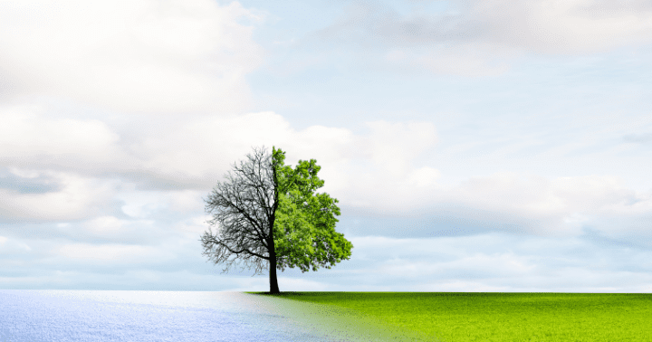times and seasons in the bible