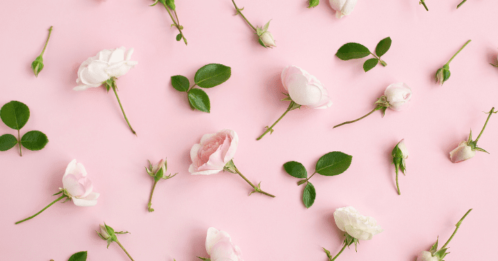 rosa o lado mais doce do amor