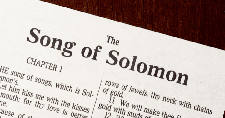 O que significa rosa na Bíblia?