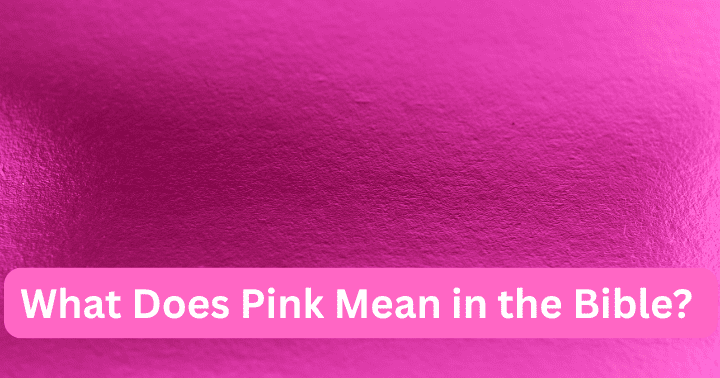 O que significa rosa na Bíblia?