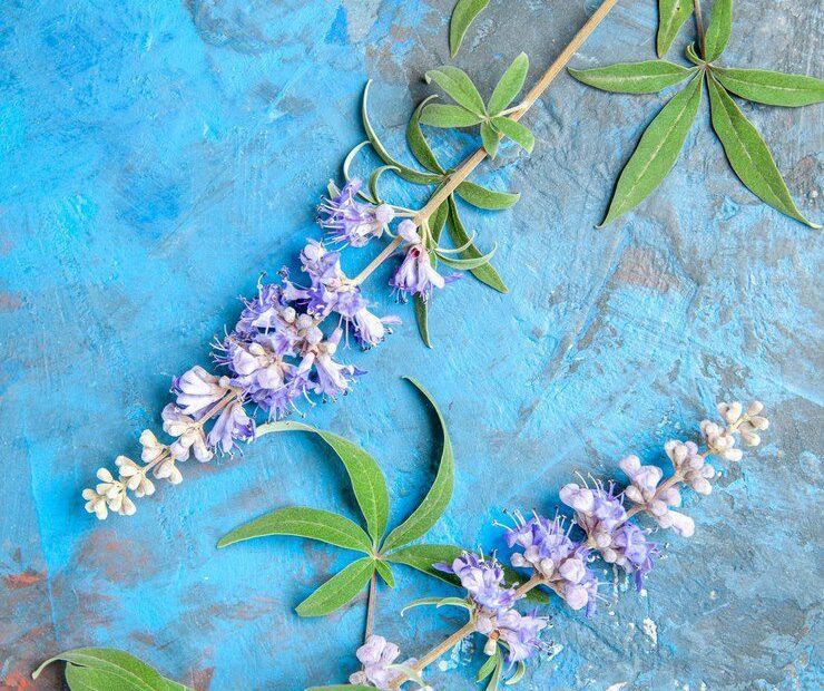 Hyssop in the Bible