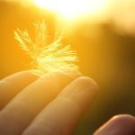How Did God Use Dreams and Visions in the Bible? examples of vision in the bible