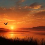 1 Samuel 30 Commentary